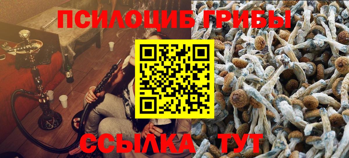 Галлюциногенные грибы Psilocybine cubensis Рузаевка
