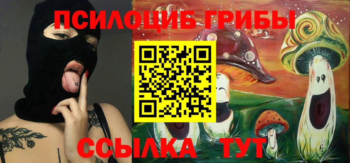 Галлюциногенные грибы Psilocybe  Вход с VPN  Рузаевка 